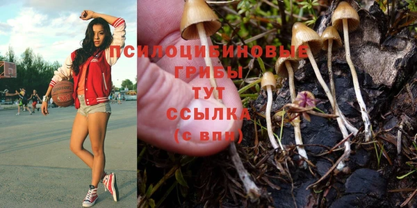 не бодяженный Балахна