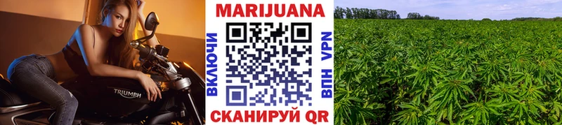 Марихуана Bruce Banner Ржев